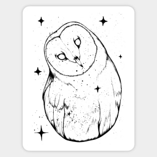 Starry Owl Sticker